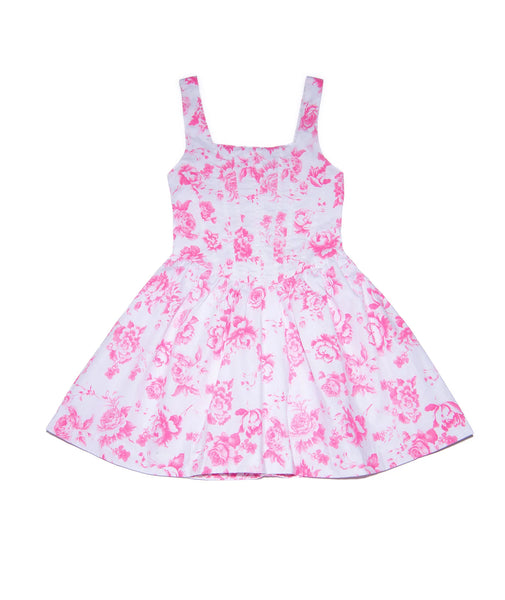 Flowers by Zoe - Pink Toile Dress