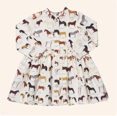 Pink Chicken - Girls Autumn Dress - Horse Breeds