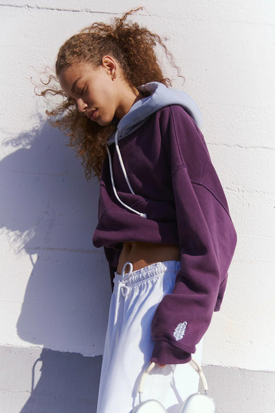 Free People Color Block Purple Hoodie