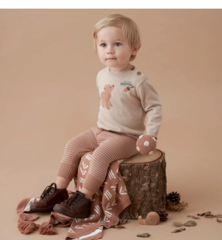 Elegant Baby - Baby Boy Bear Knit Sweater & Pant Set