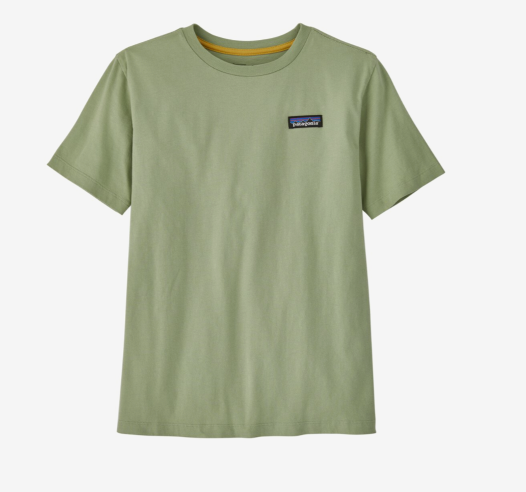 Patagonia - Kids Regenerative Organic Cotton - Salvia Green